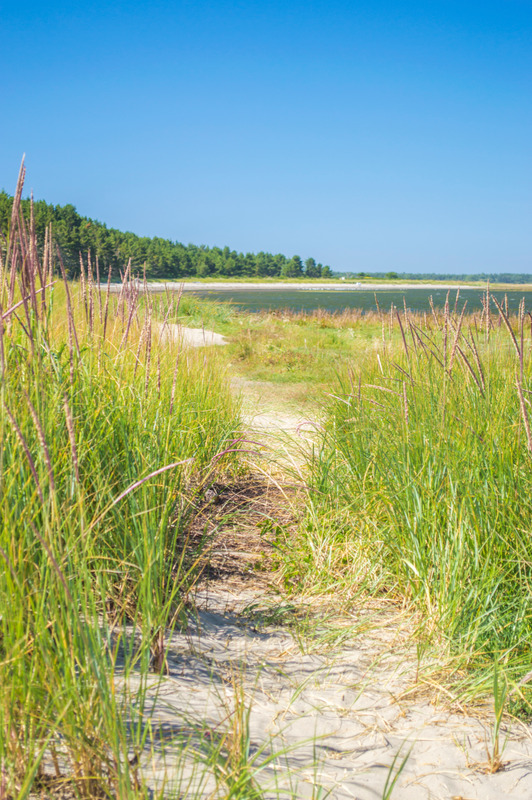 Walking path.